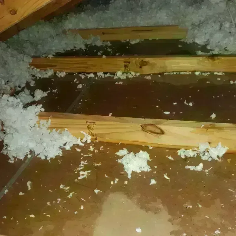 Attic Water Damage in Forest Ranch, CA