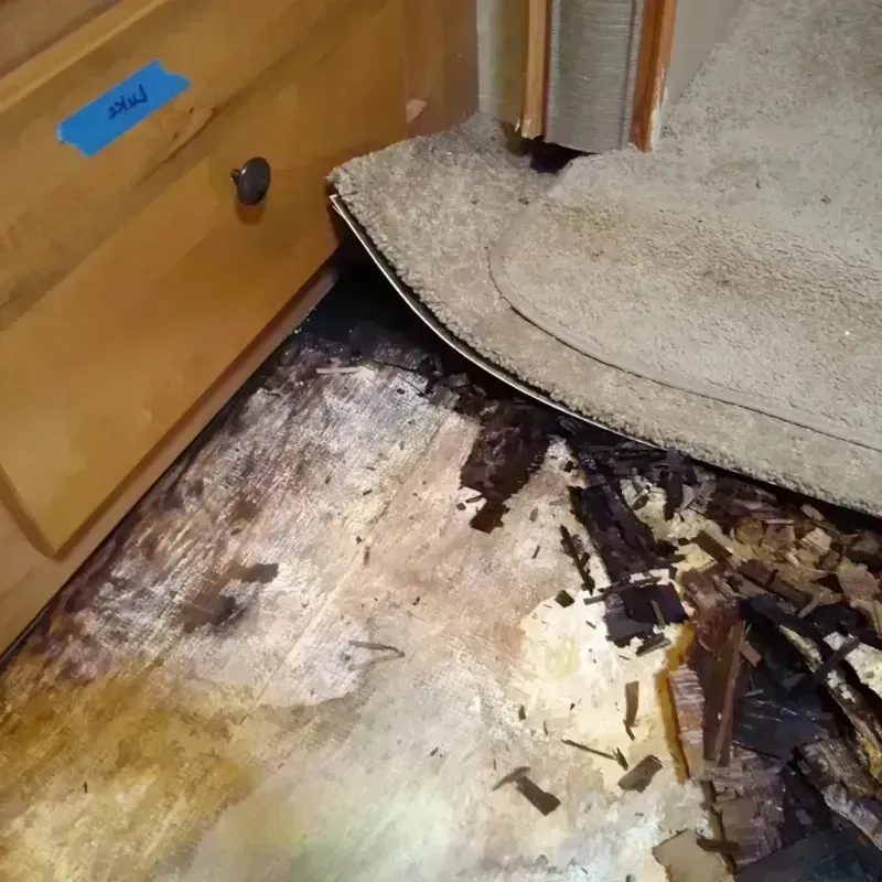 Best Wood Floor Water Damage Service in Forest Ranch, CA